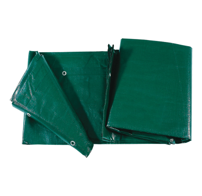 TELO VERDE DA COPERTURA 8X12 240GR